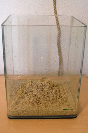 Nano Cube